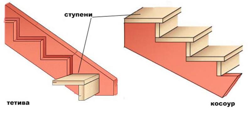 Разница между тетевой и косоуром